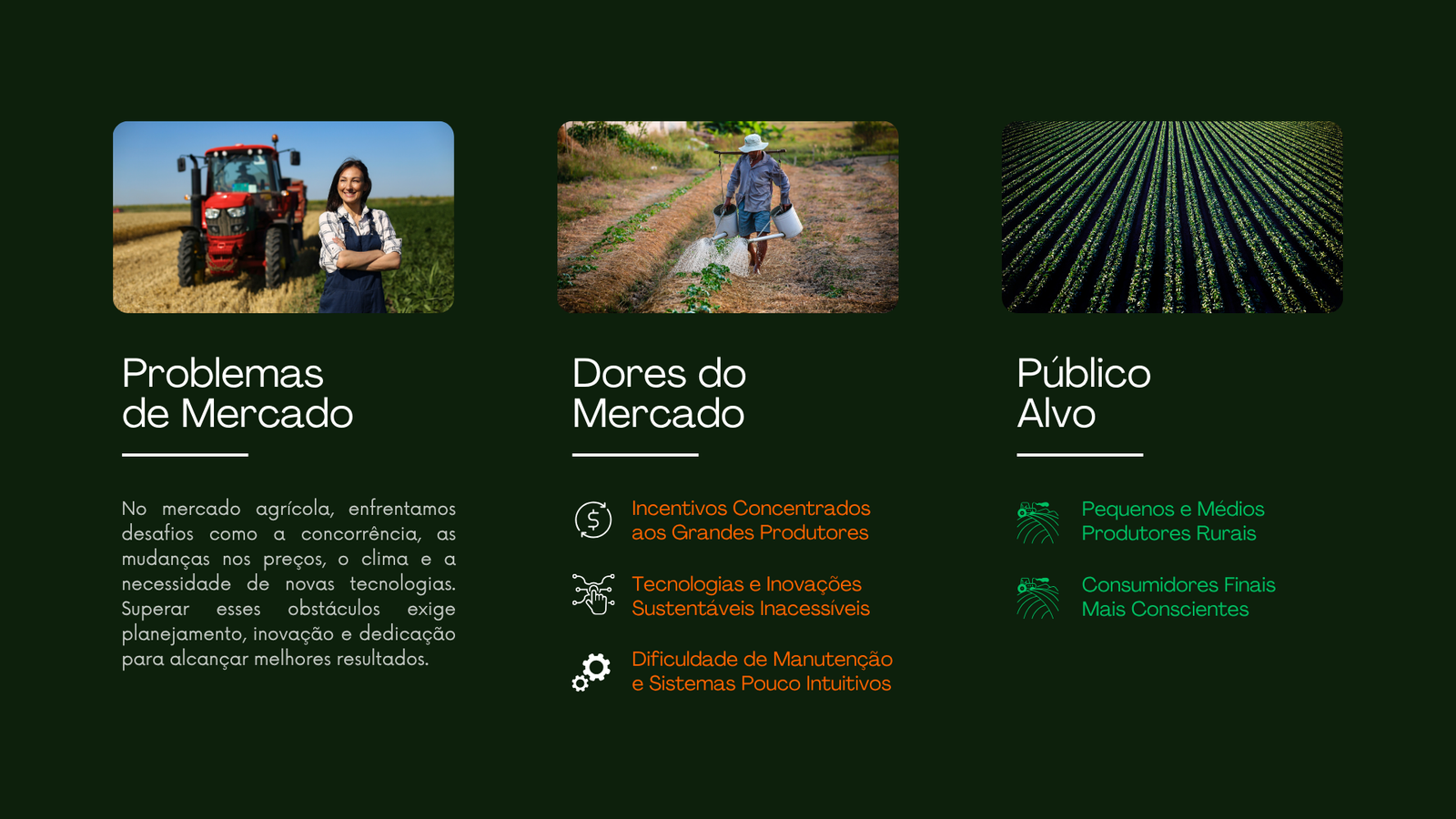 Sementes do Vale